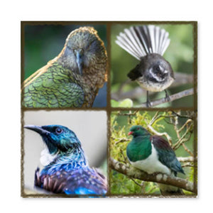 Decorative trivet tile NZ Birds