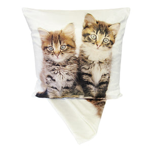 Cute kittens cushion cover
